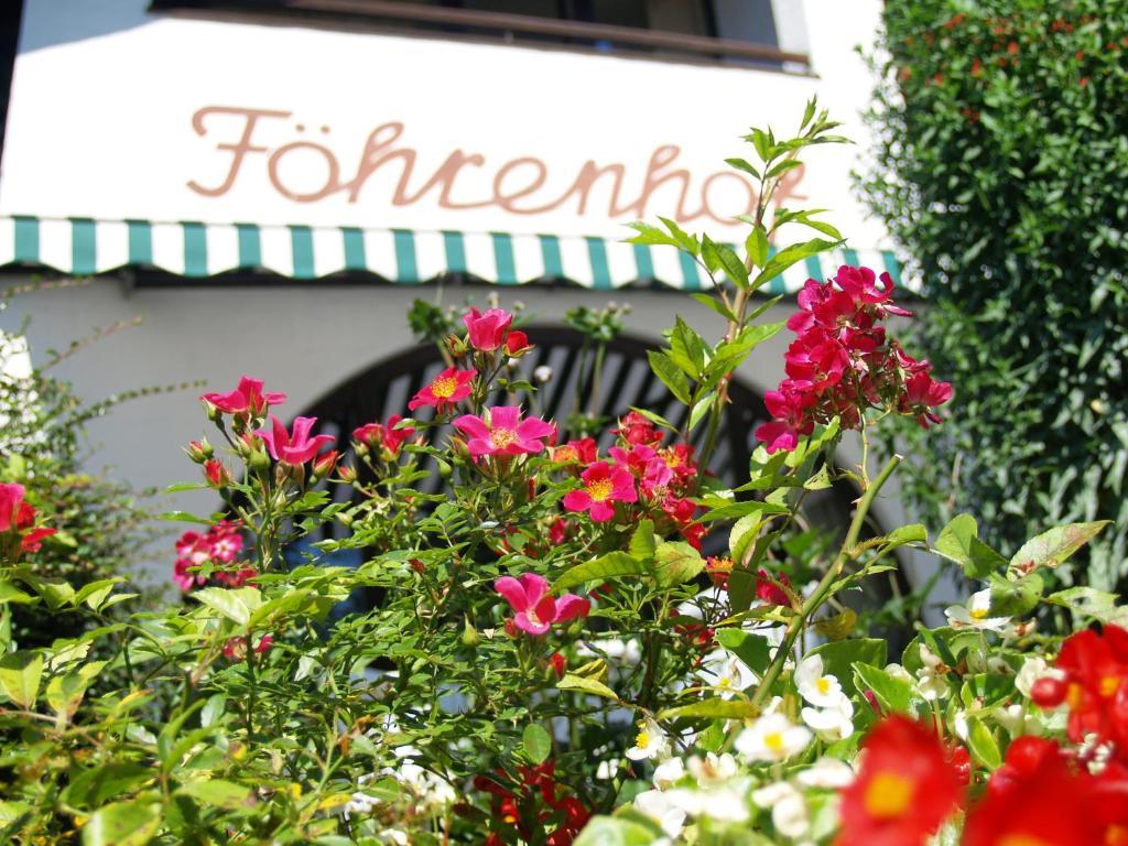 Fohrenhof Garni 3* Фархант
